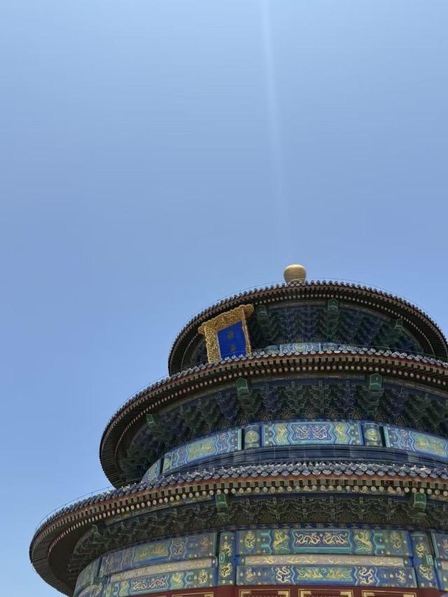 城市 - 11